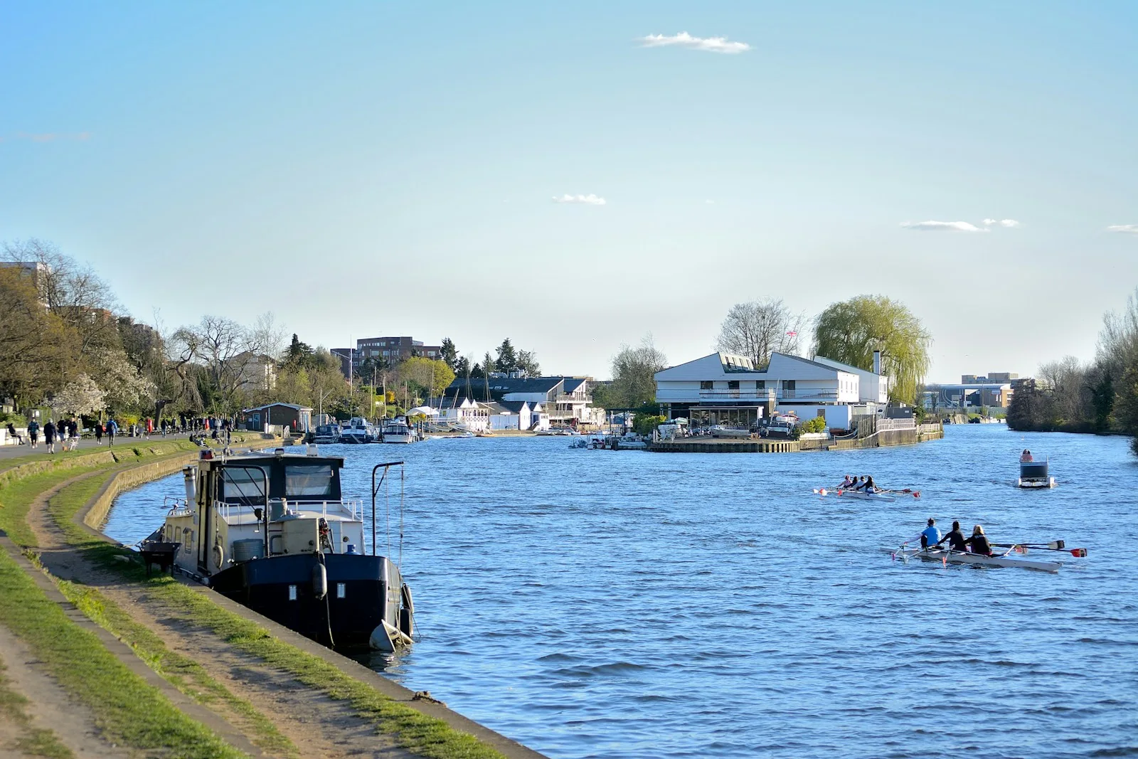 Illustrative photograph: rowing crews on the Thames beneath a bright sky