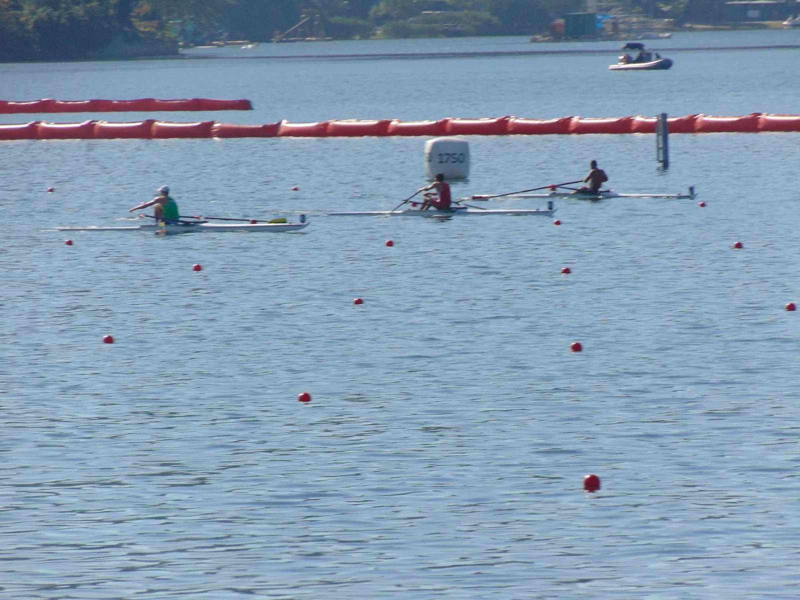 Illustrative photograph: rowers in marked lanes, seen from the bank